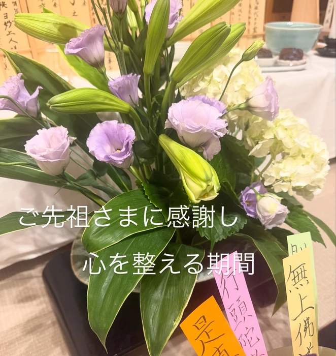 画像234